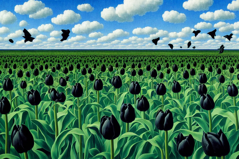 Surreal black tulips in field under blue sky with birds