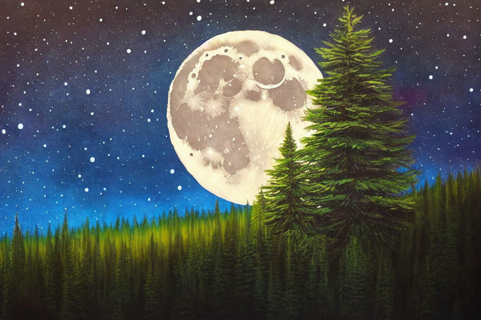 Full Moon Illuminating Starry Night Sky Above Evergreen Forest