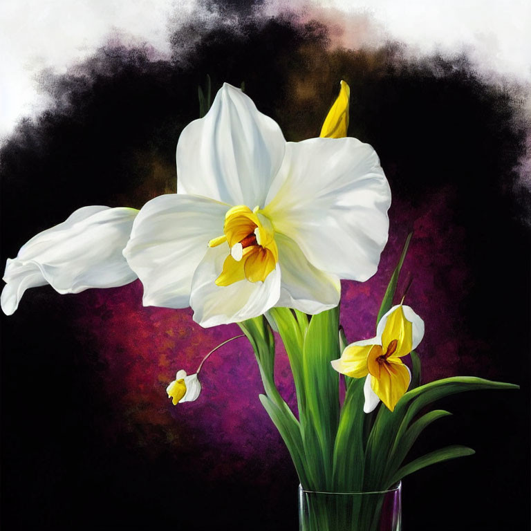 White daffodils in glass vase on black and purple background