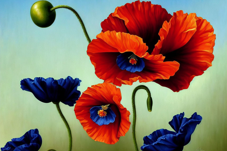 Colorful painting of blue and orange poppies on soft blue backdrop