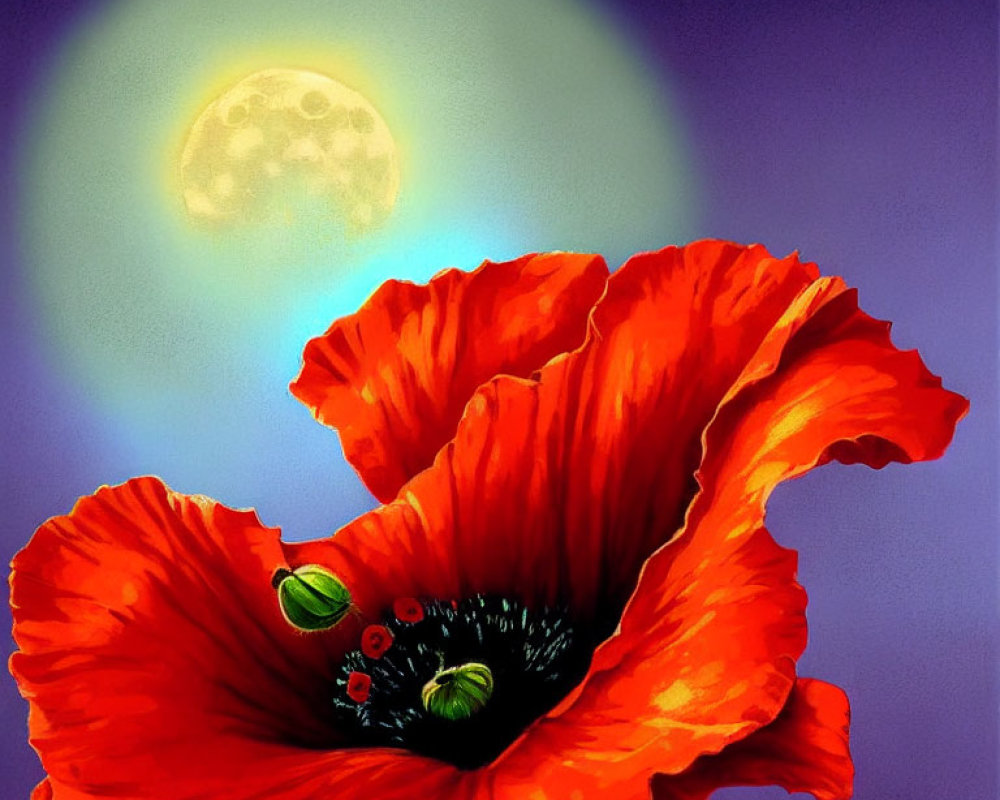 Red Poppy Flowers in Twilight with Full Moon and Hazy Sky