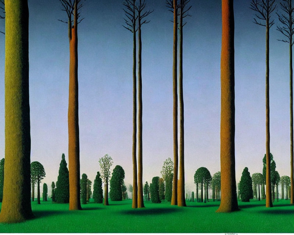 Surreal forest with tall trees against clear sky