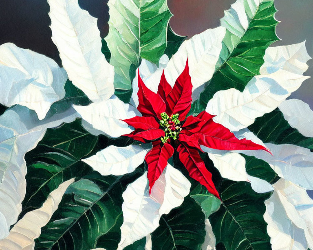 Colorful painting of red poinsettia with green and white leaves on dark backdrop