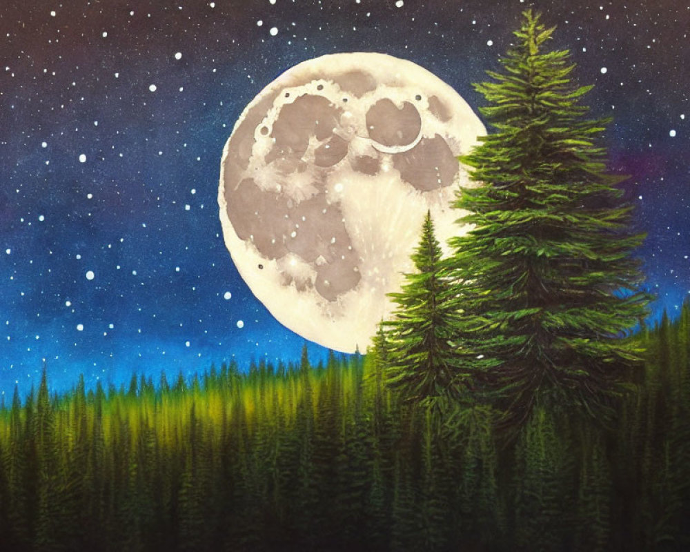 Full Moon Illuminating Starry Night Sky Above Evergreen Forest