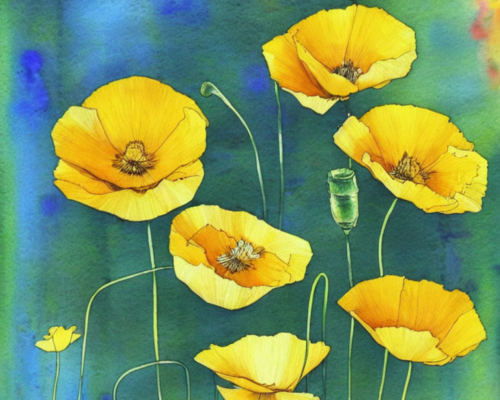 Vibrant yellow poppies watercolor illustration on blue background