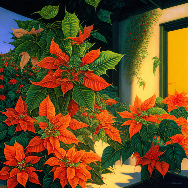 Colorful poinsettias bloom by building with yellow door and window