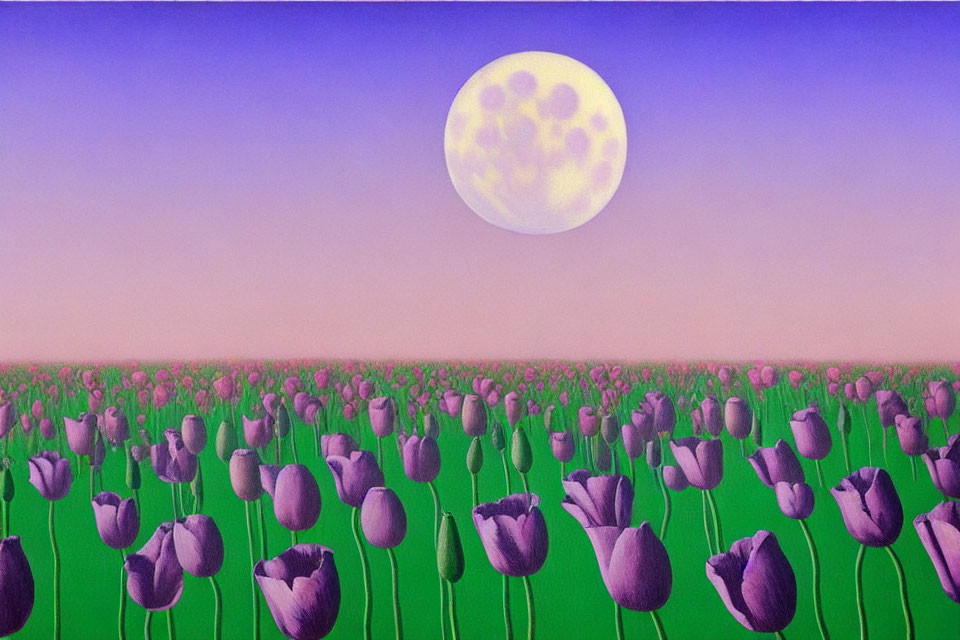 Digital painting of serene field with purple tulips under large yellow moon and pink-purple sky