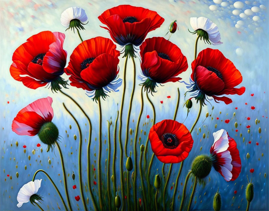 Colorful red and white poppies on blue background with bubbles and red dots