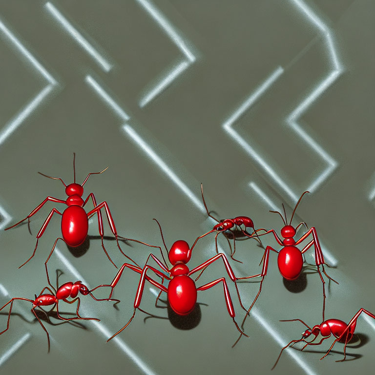 Red Ants Crawling on Grey Surface with White Arrow Pattern Shadows