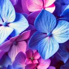 Colorful Stylized Flower Illustration in Blues and Purples