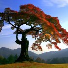 Colorful surreal tree with coral-like branches on grassy hill at twilight