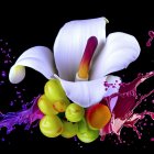 Detailed White and Purple Lilies Digital Painting on Dark Background