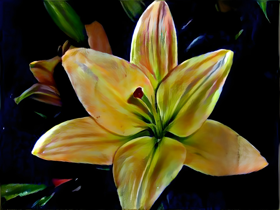 Fall lily !