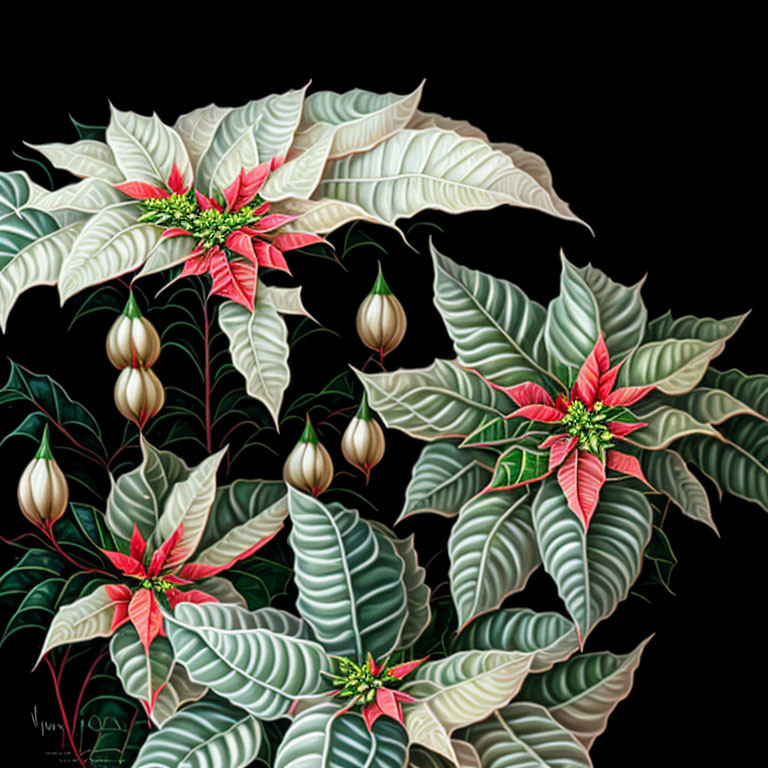 Detailed Artwork of Poinsettias: Rich Green Leaves, Vibrant Red Flowers, Dark Background