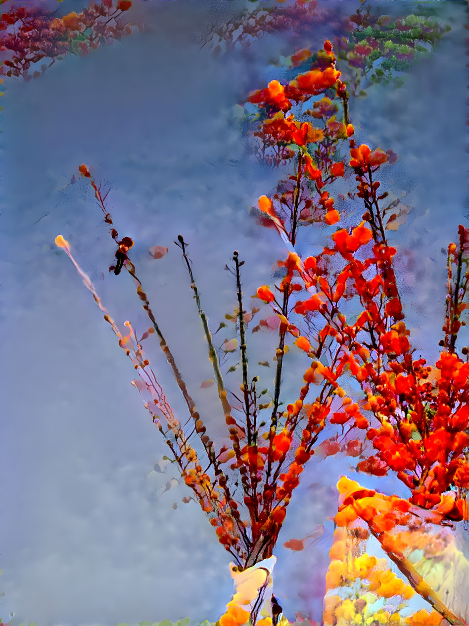 Spring Blooms 