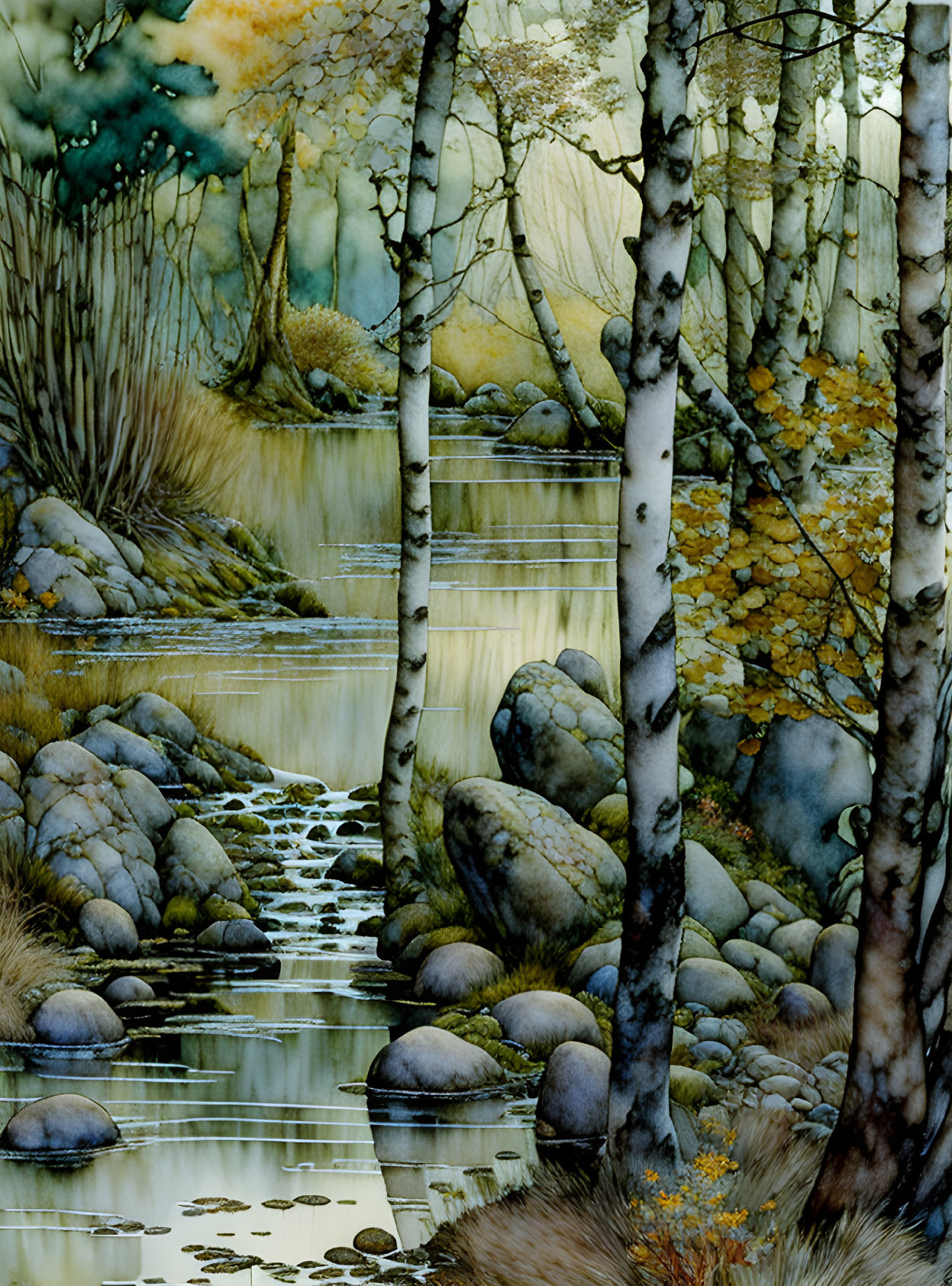 Tranquil Forest Scene: Birch Trees, Stream, Rocks & Autumn Foliage