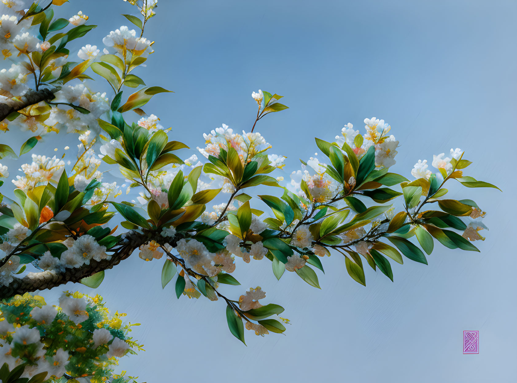 Lush green leaves and white blossoms on branch against blue sky