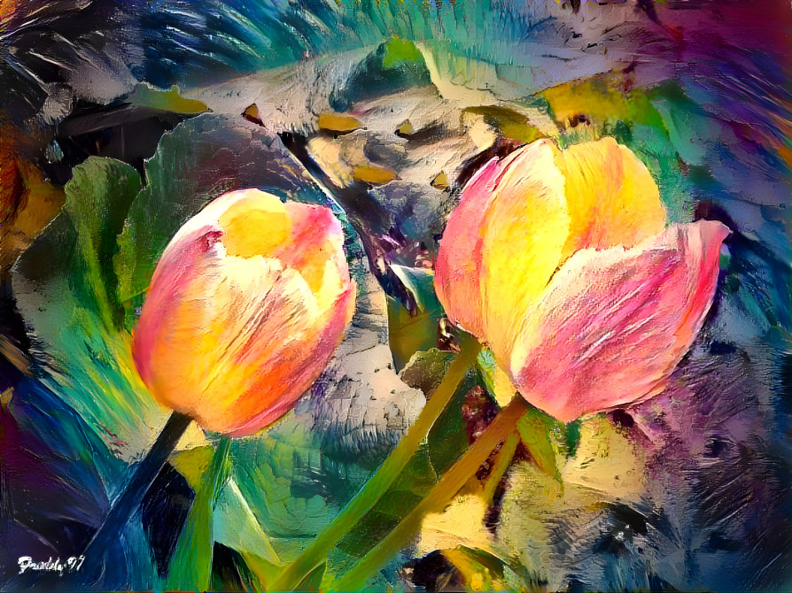 Tulips