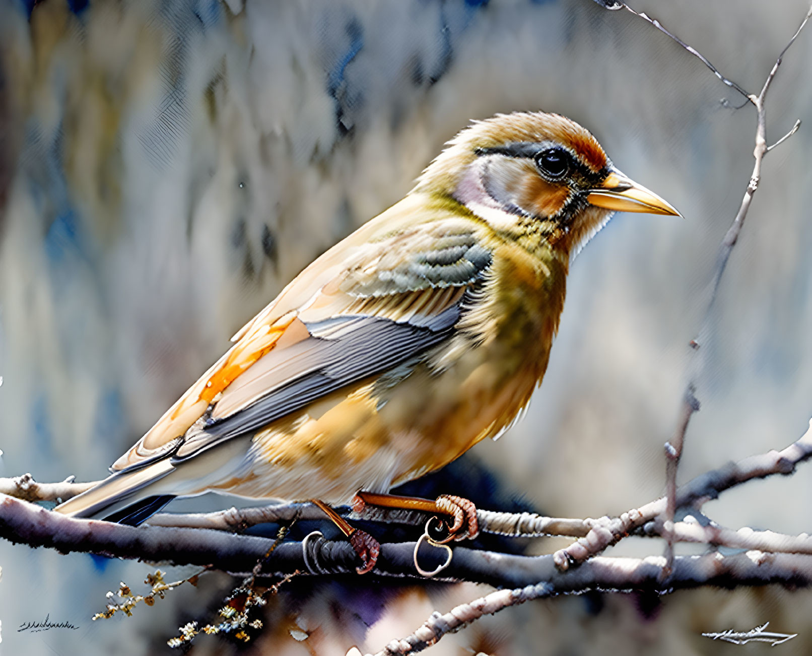 Colorful bird with striped head and orange wings perched on branch in natural setting