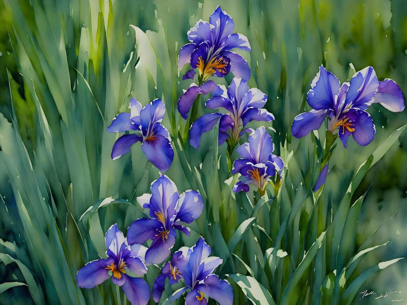 Colorful Cluster of Blue and Purple Irises with Yellow Accents amid Green Foliage