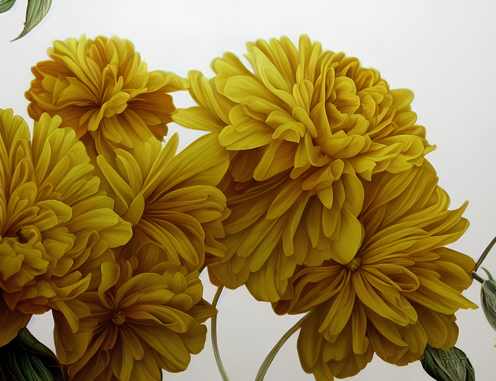 Detailed Close-Up of Vibrant Yellow Chrysanthemums