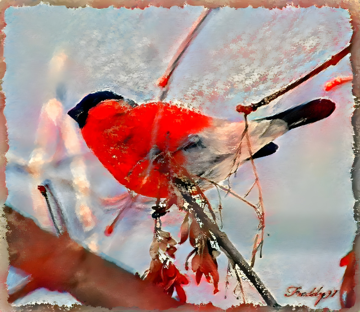 Bullfinch