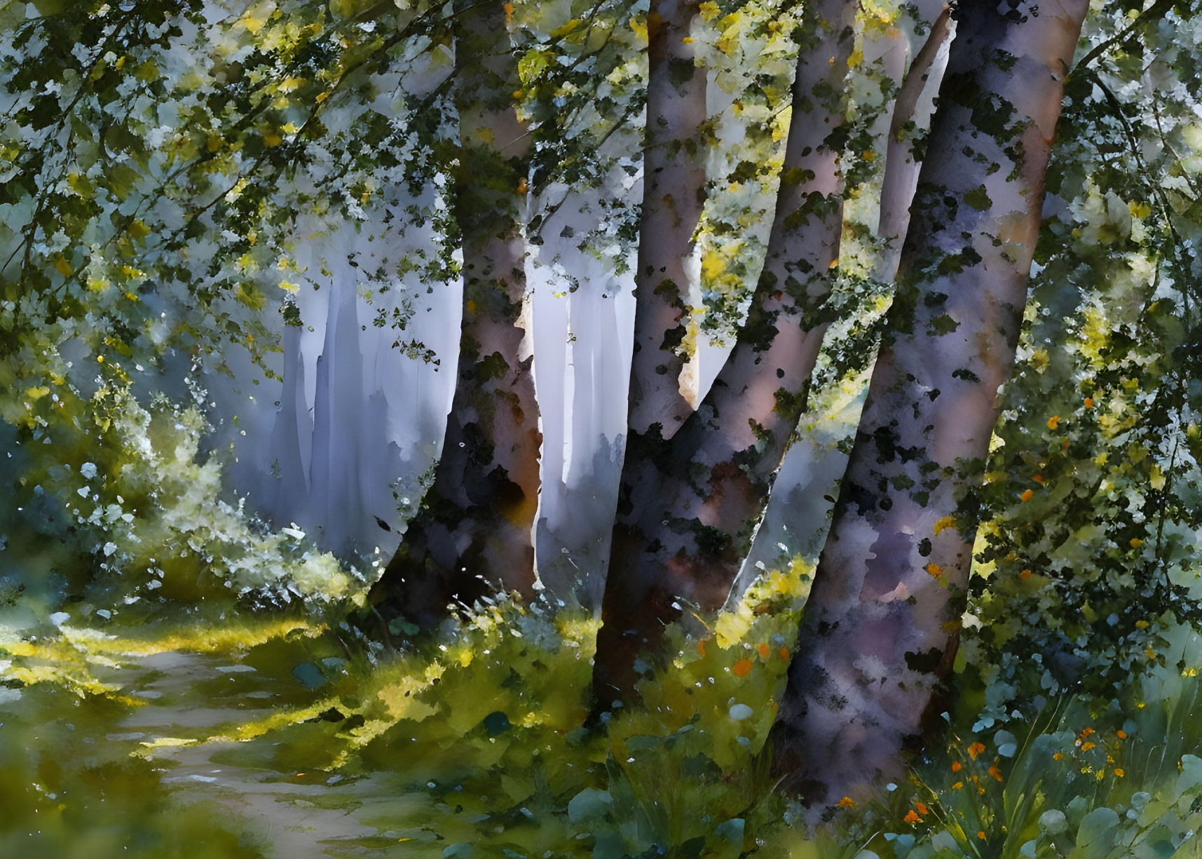 Lush Forest Path with Birch Trees and Sunlight Glow