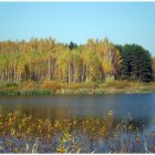 Six serene landscape scenes with wildflower-covered meadow in various weather and sky settings.