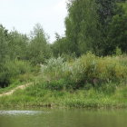 Tranquil forest landscape with river, rocks, and wildflowers