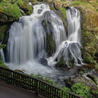 Tropical forest with sunbeams and waterfall