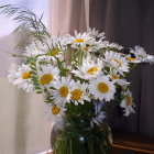 Colorful daisies in glass jar by window with soft light