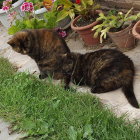 Detailed lifelike cats in lush greenery with flowers and basket scene