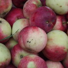 Assorted fresh ripe apples in red, yellow, and green hues