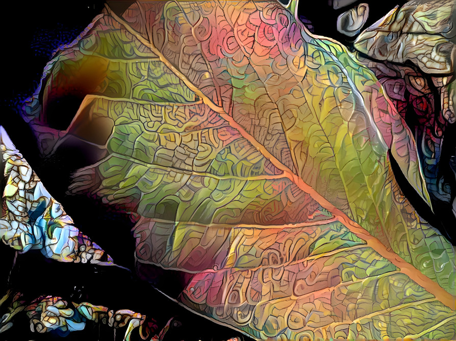 Leaf