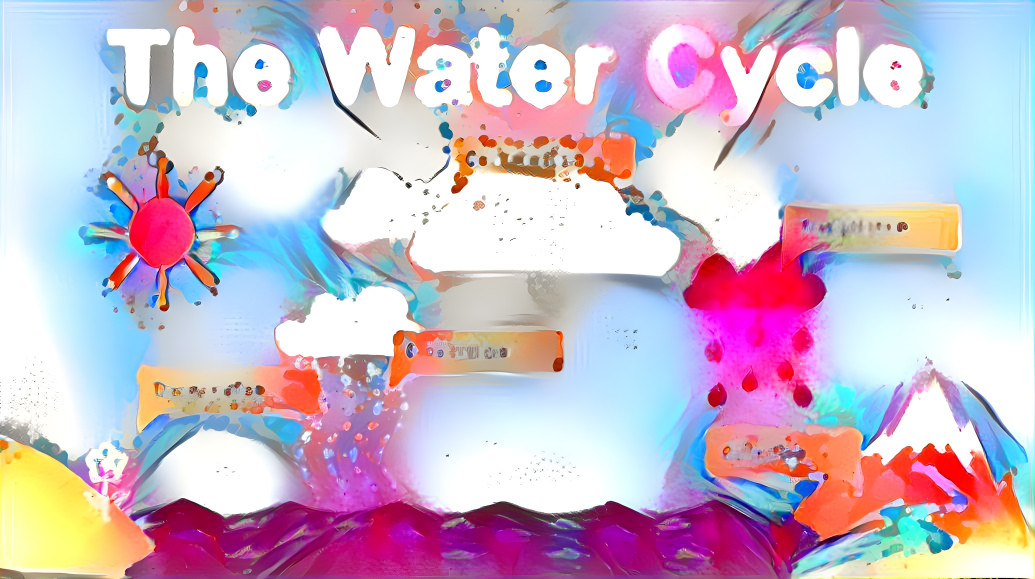 The Water Cycle 