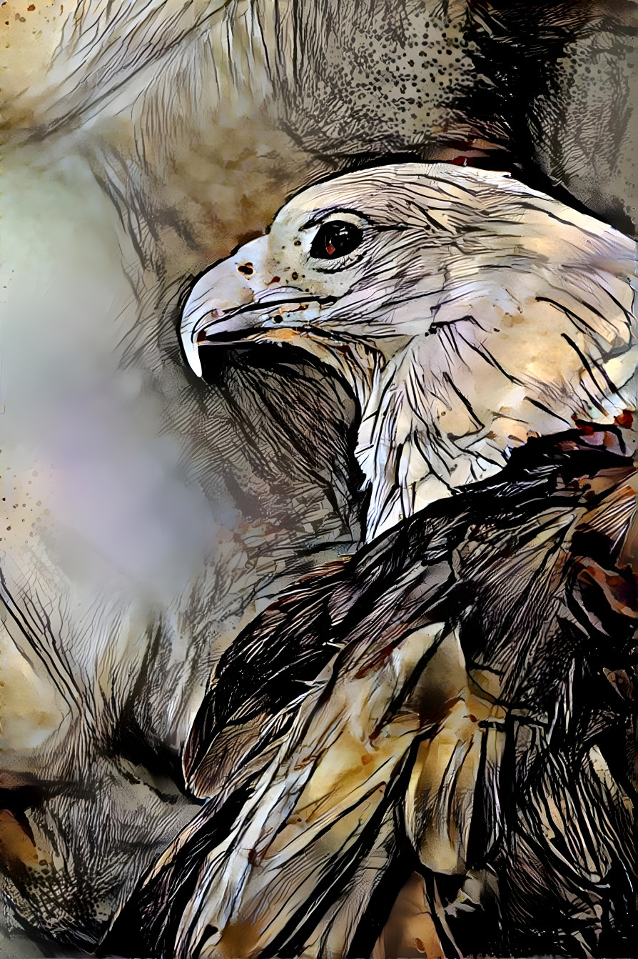 Eagle 