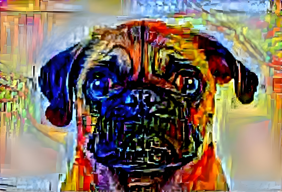 Pug