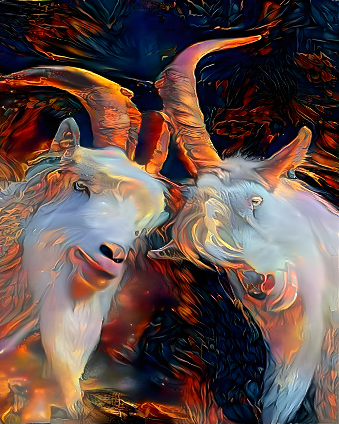 Lava goat