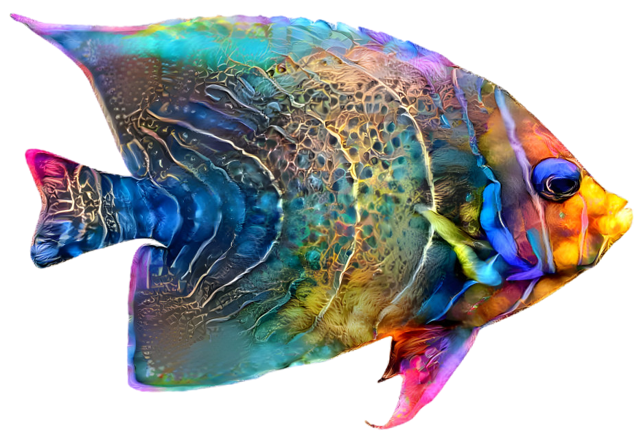 Colorful Fish