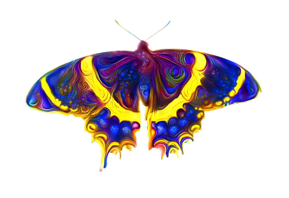 Colorful Butterfly