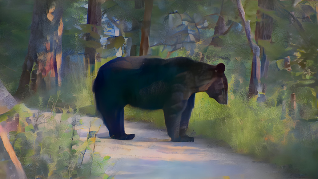 bear