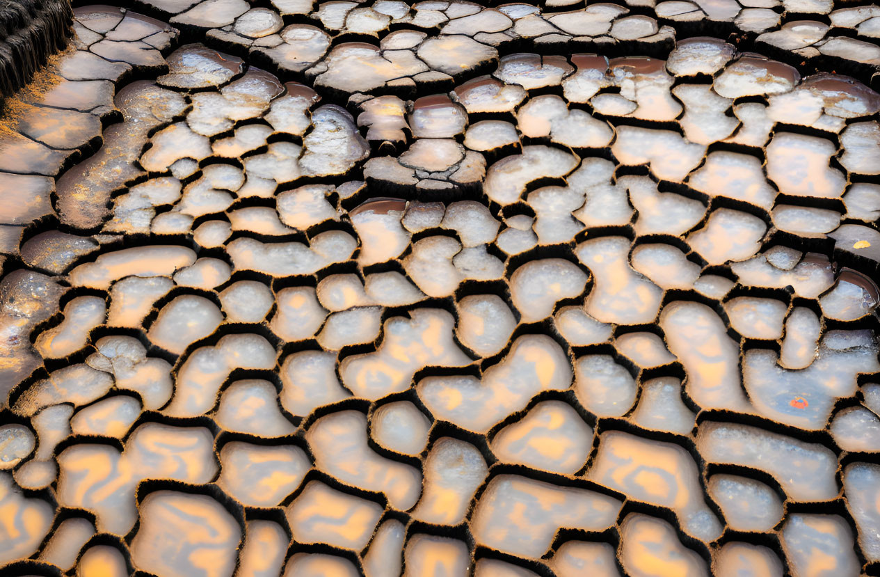 Cracked Earth Patterns Filled with Water and Golden Sunlight