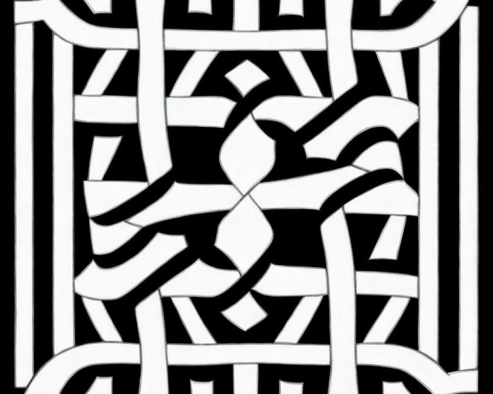 Abstract Black and White Image with Intertwined Lines Creating Maze Pattern