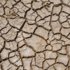 Cracked Earth Patterns Filled with Water and Golden Sunlight