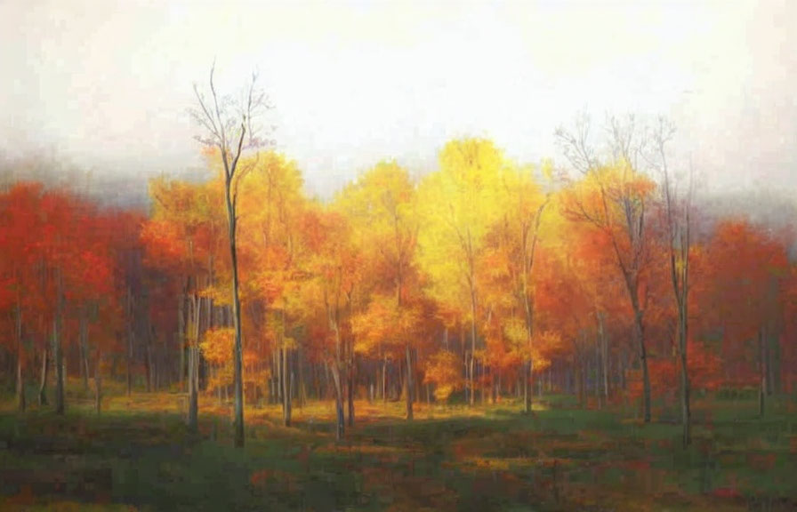 Autumn Forest Scene with Yellow, Orange, and Red Trees in Mist