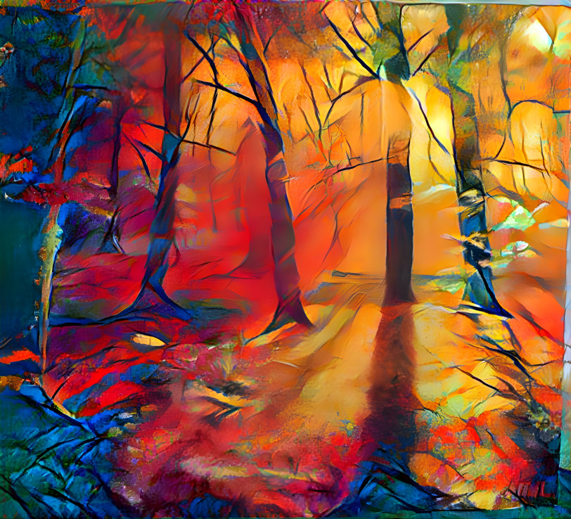 Colourful Forest