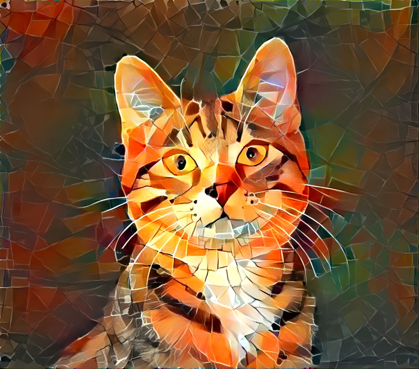 Tiger Cat 1