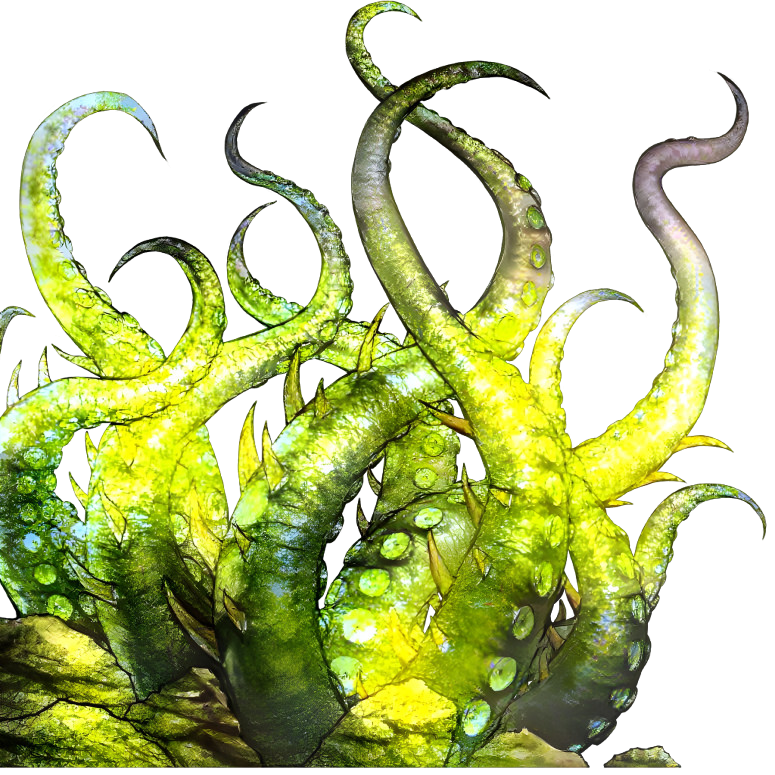 Druidic Tentacles