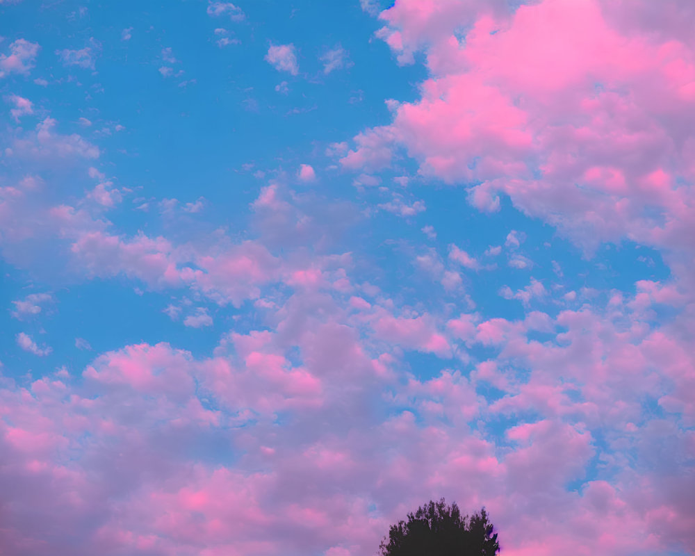 Colorful pink and blue sky with fluffy clouds and lone tree top.