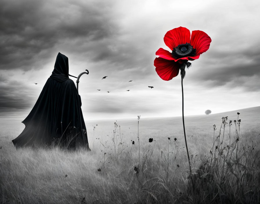 Cloaked figure in grayscale field with red poppy, birds, and distant tree.